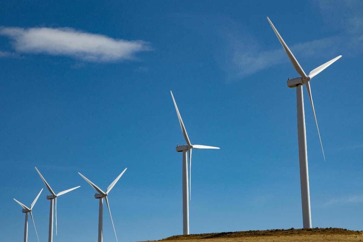 pexels-rods-14632632_WH_1200x800px